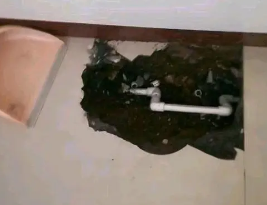蓬江卫生间测漏水多少钱
